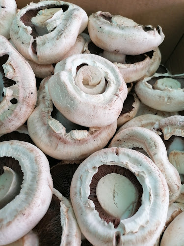 Comentarii opinii despre Saltriver Market