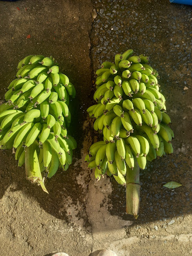 62 Longcroft Dr, Phoenix, Durban, 4068