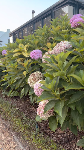 Opinii despre Incognito by Kove Collection în Cape Town - Hospitality and gastronomy