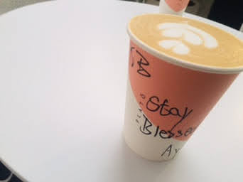 Platō Coffee - Loftus - Hospitality and gastronomy