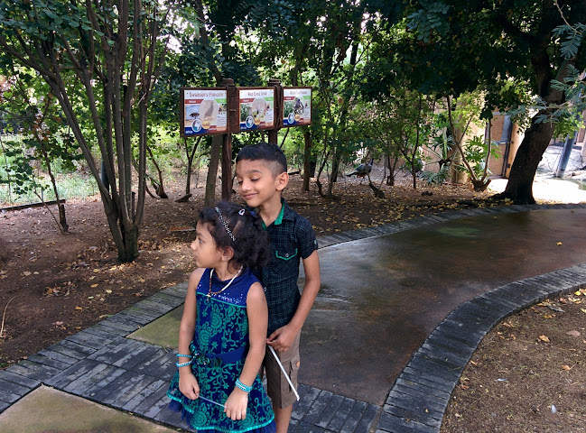 Opinii despre Polokwane Freash Produced Market în Polokwane - Hospitality and gastronomy