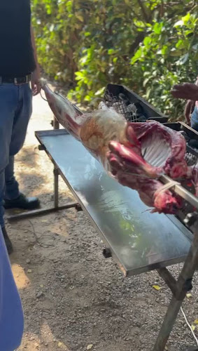 Opinii despre J's Catering în Sandton - Hospitality and gastronomy