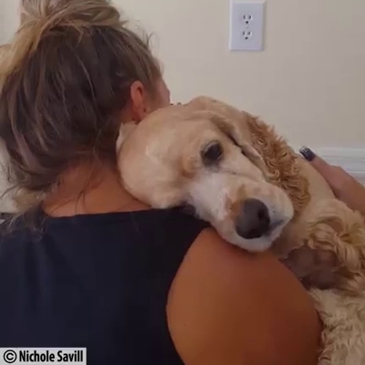 Pappa G's - Hospitality and gastronomy