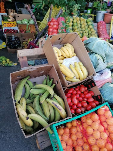 Opinii despre Saltriver Market în Cape Town - Hospitality and gastronomy