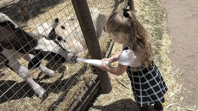 Comentarii opinii despre Boeretroos Koffiewinkel