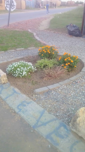 Comentarii opinii despre Bliss Frt&veg