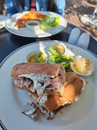 Comentarii opinii despre PAUL