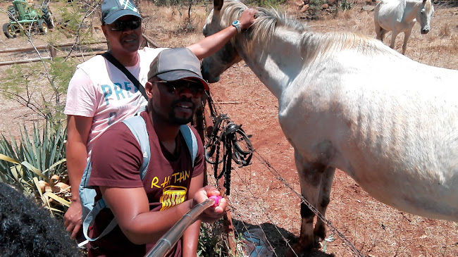 Opinii despre Getaway Farm în Rayton - Hospitality and gastronomy