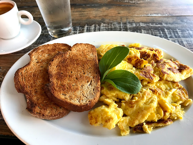 Tei Avon Schwarma Bistro - Hospitality and gastronomy