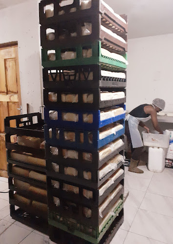 LLY KASI BREAD & ROLLS - Johannesburg