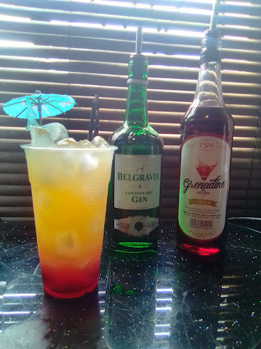 Comentarii opinii despre The Cocktail Mobile Bar