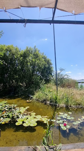 Opinii despre River Café în Potchefstroom - Hospitality and gastronomy