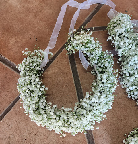 Comentarii opinii despre Colour Country Flowermarket