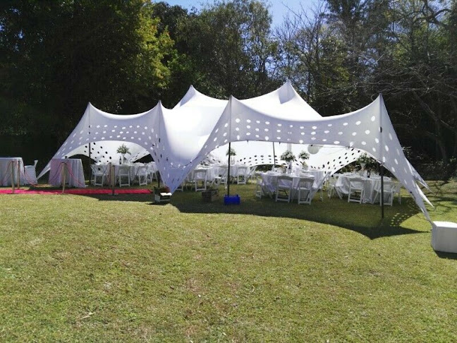 Comentarii opinii despre Tastebuds Catering