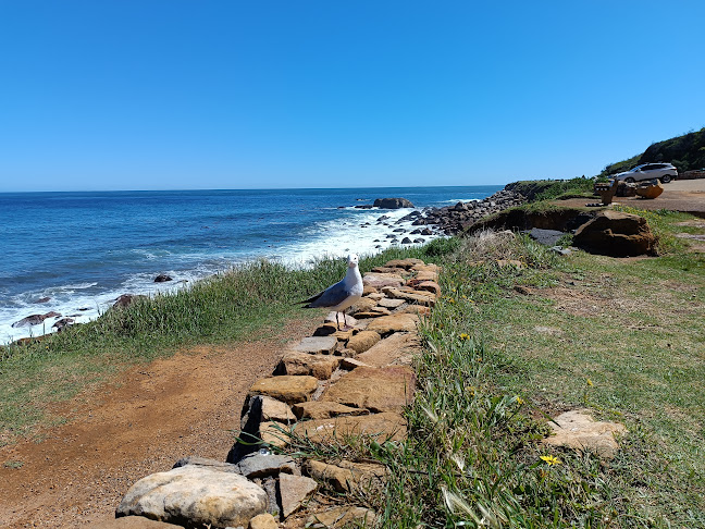 Comentarii opinii despre Street Cafe Food Truck