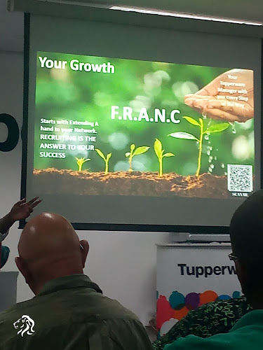 Liquor City Lion cellars