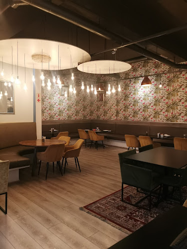 Comentarii opinii despre Aladdin The Collection