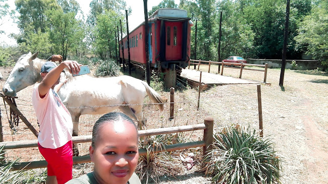 Portion 113, Rietfontein JR, Rayton, 0122