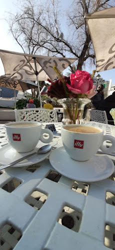 Comentarii opinii despre Olives and Plates Wits Club and Conference