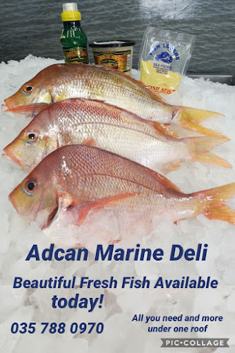 Opinii despre ADCAN MARINE HOME ICE CREAM în Richards Bay - Hospitality and gastronomy