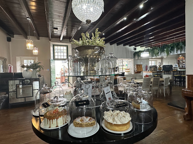 Olives and Plates Wits Club and Conference