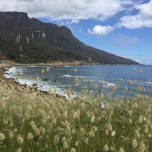 Opinii despre Street Cafe Food Truck în Cape Town - Hospitality and gastronomy