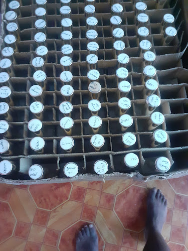 Opinii despre UXOLOLWETHU BAKERY în Embalenhle - Hospitality and gastronomy