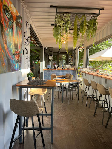 Comentarii opinii despre Duo Vine