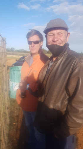 Comentarii opinii despre TINY'S PUB & GRUB