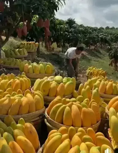 FreshStop Washington Post - Vereeniging