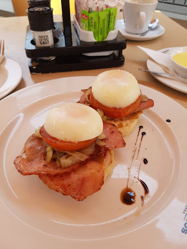 Papachinos Clearwater - Hospitality and gastronomy