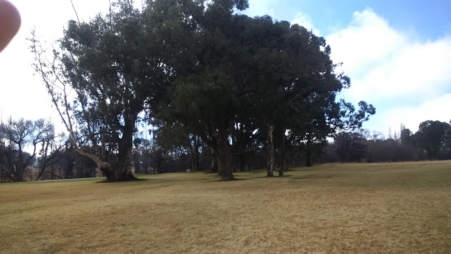 Comentarii opinii despre Queenstown Golf Club Restaurant