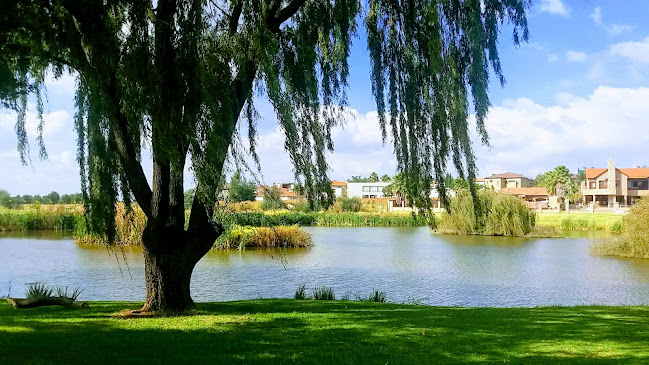 Comentarii opinii despre Blue Gill Clubhouse