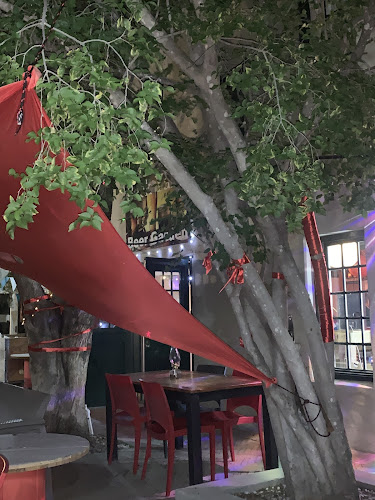 Backyard Beer Garden - Hospitality and gastronomy