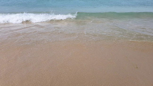 Shop 8, Dolphins Leap Shopping Centre, Cnr La Roche Dr &, Beach Rd, Summerstrand, Gqeberha, 6013