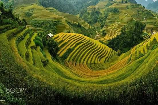 Opinii despre Aso takeaway în Pretoria - Hospitality and gastronomy