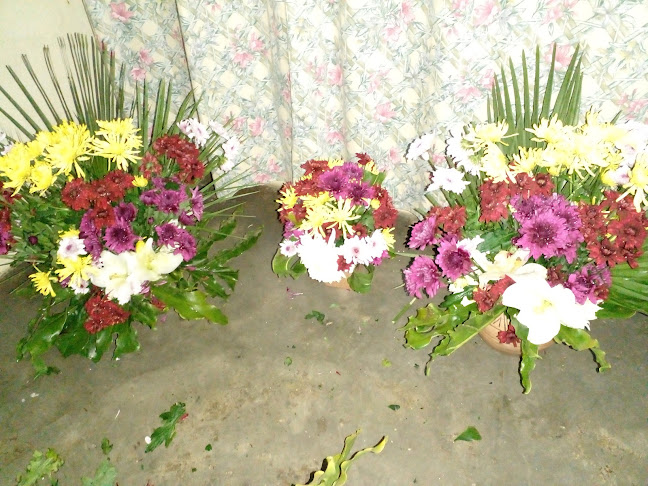 Opinii despre Neo flower Expect în Johannesburg - Hospitality and gastronomy