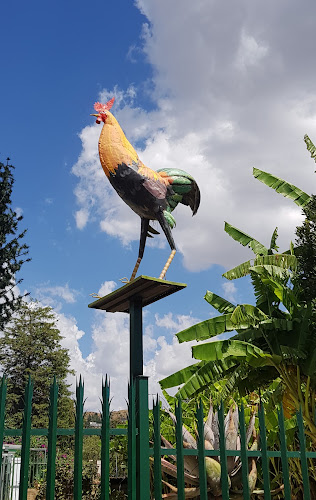 11th & & Davidson St, Fairland, Randburg, 1925