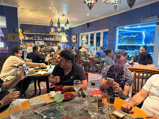 Comentarii opinii despre Persian Peacock