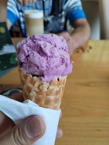 Comentarii opinii despre Garden Restaurant