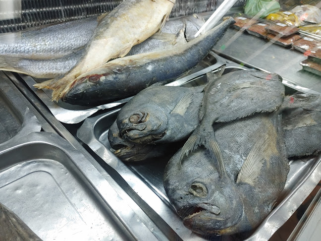 282 Solomon Mahlangu Dr, Rossburgh, Durban, 4157