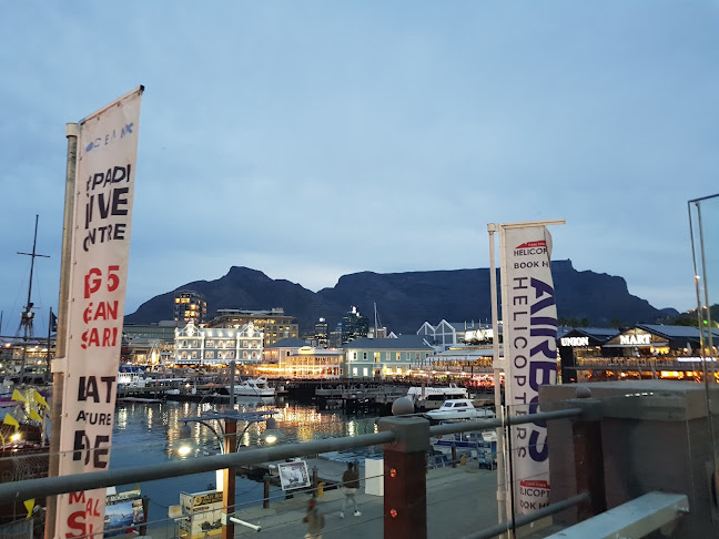 Comentarii opinii despre Gibson's