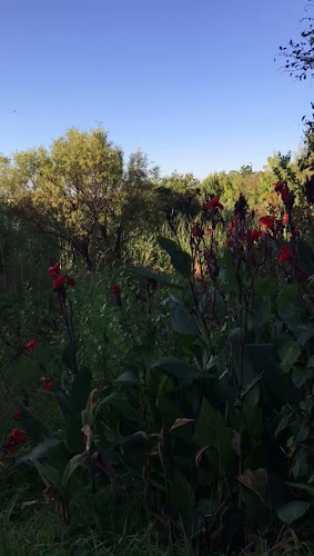 River Café - Potchefstroom