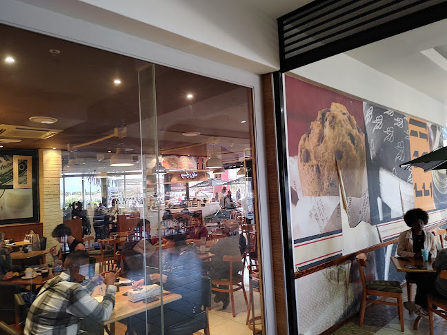 Ocean Basket Worcester - Hospitality and gastronomy