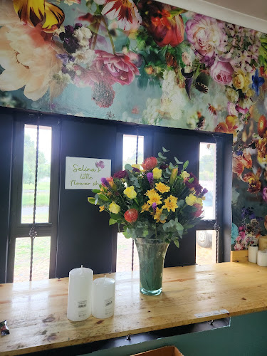 Comentarii opinii despre Colour Country Flowermarket