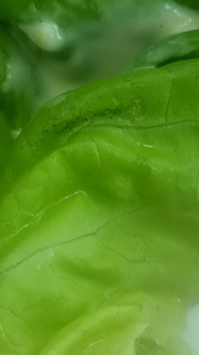 RocoMamas Waterfall Mall