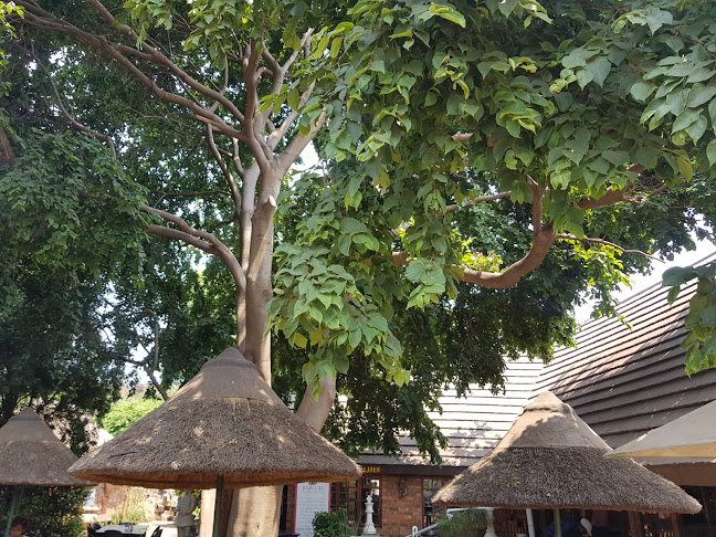 Cafe AMBROSIA - Hospitality and gastronomy