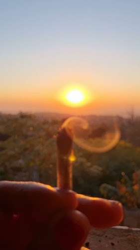 Fit Deli - Green Point