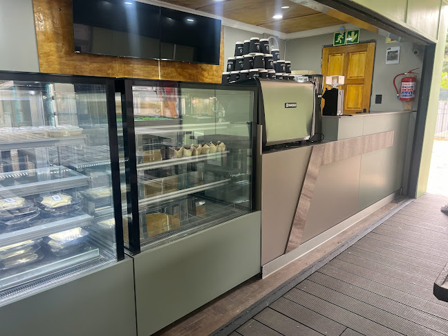 Beanologist Coffee Therapy