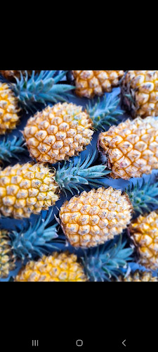 Crumbs & Cream - Hospitality and gastronomy